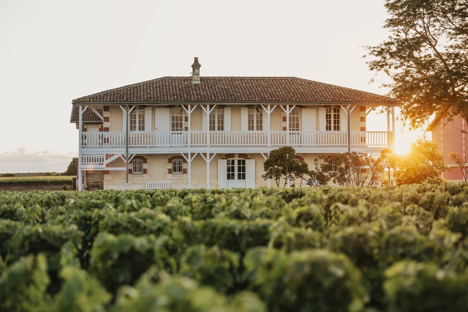 Welcome to Château Haut-Batailley